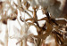 Wall Poster Space of Dreams - plant composition of white flowers on a light background 130508 additionalThumb 9
