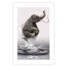Poster Surfing - abstract and whimsical elephant on a surfboard falling into the water 132208 additionalThumb 25