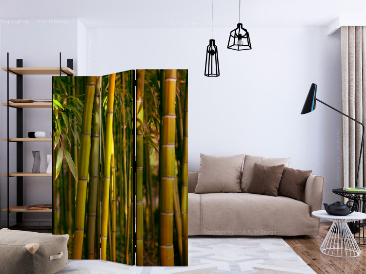 Room Divider Screen Sunset Forest - natural landscape of green bamboo forest 133808 additionalImage 4