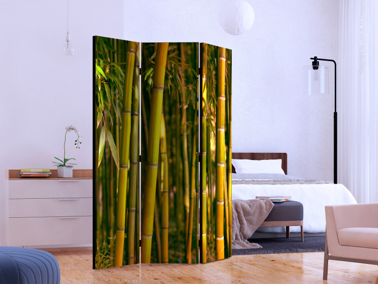 Room Divider Screen Sunset Forest - natural landscape of green bamboo forest 133808 additionalImage 2