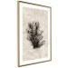 Wall Poster Oceanic Flora - black plant composition on a beige textured background 134508 additionalThumb 7
