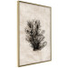 Wall Poster Oceanic Flora - black plant composition on a beige textured background 134508 additionalThumb 12