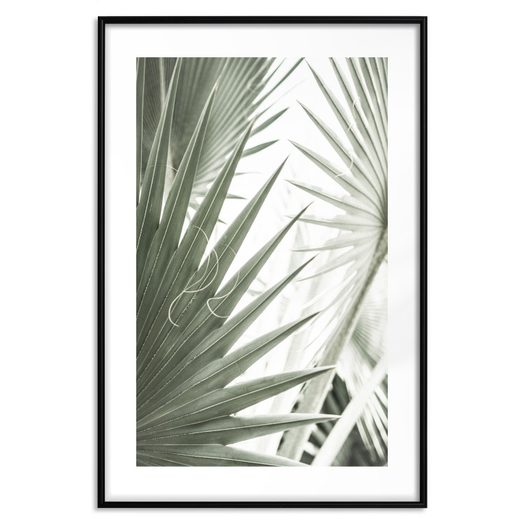 Poster Great Brilliance - tropical composition of green leaves on a light background 135308 additionalImage 19