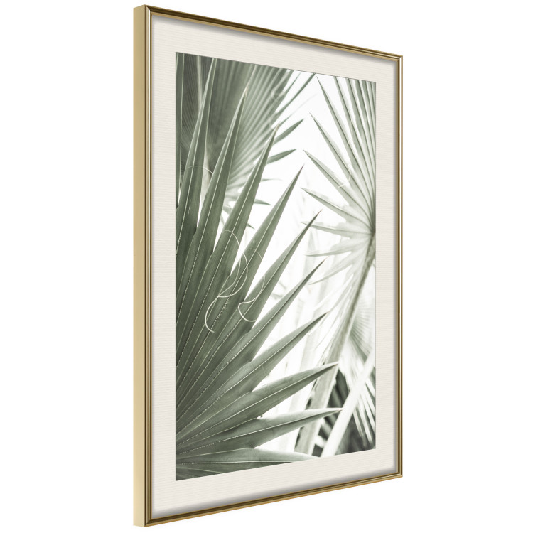Poster Great Brilliance - tropical composition of green leaves on a light background 135308 additionalImage 15