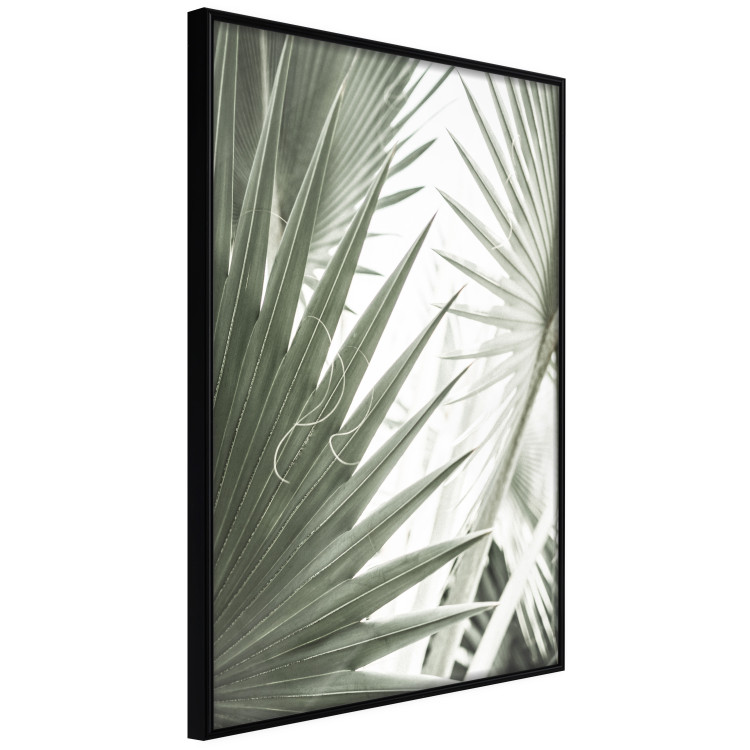 Poster Great Brilliance - tropical composition of green leaves on a light background 135308 additionalImage 19