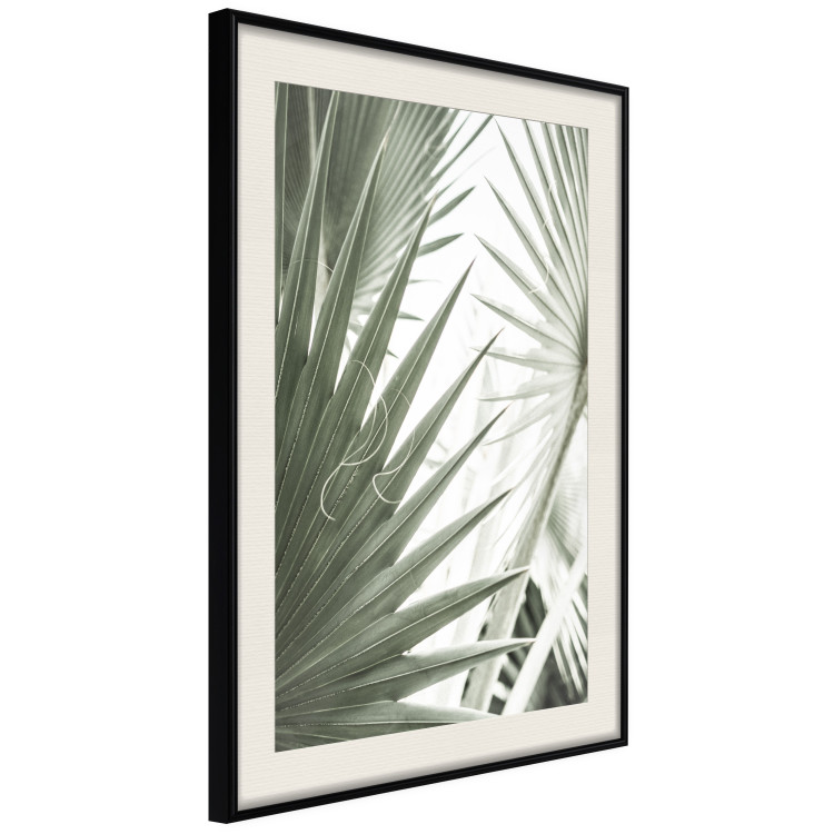 Poster Great Brilliance - tropical composition of green leaves on a light background 135308 additionalImage 14