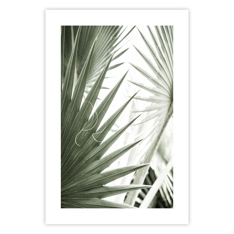 Poster Great Brilliance - tropical composition of green leaves on a light background 135308 additionalImage 3
