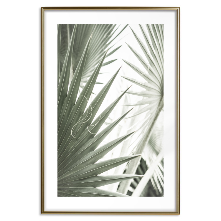 Poster Great Brilliance - tropical composition of green leaves on a light background 135308 additionalImage 18