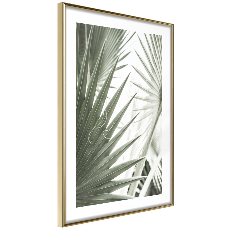 Poster Great Brilliance - tropical composition of green leaves on a light background 135308 additionalImage 17