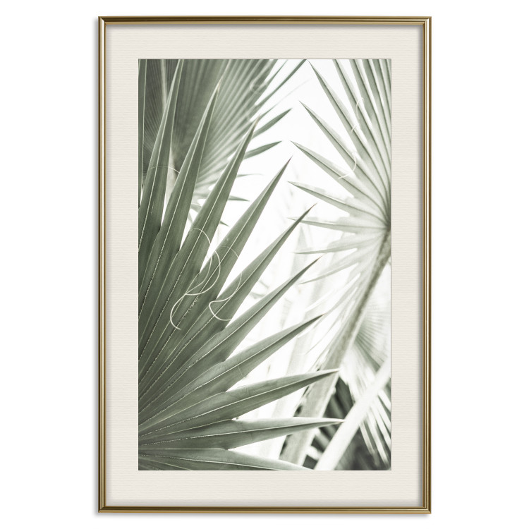 Poster Great Brilliance - tropical composition of green leaves on a light background 135308 additionalImage 23