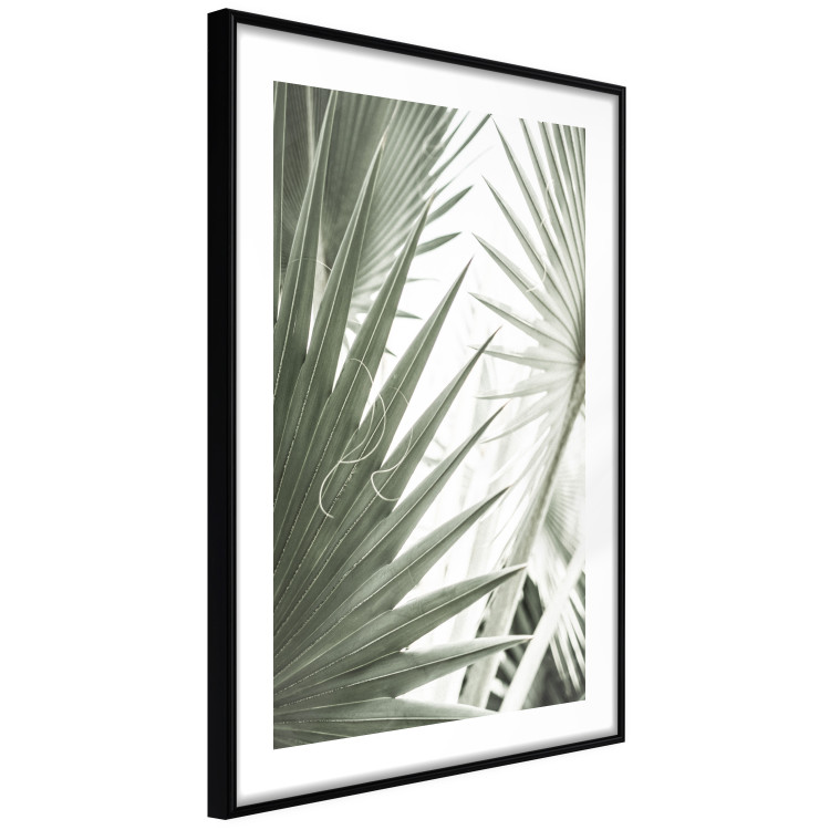 Poster Great Brilliance - tropical composition of green leaves on a light background 135308 additionalImage 11