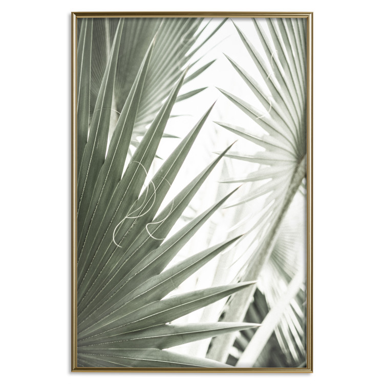 Poster Great Brilliance - tropical composition of green leaves on a light background 135308 additionalImage 10