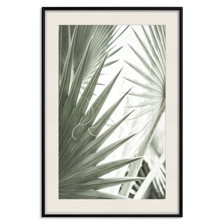 Poster Great Brilliance - tropical composition of green leaves on a light background 135308 additionalImage 24