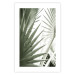 Poster Great Brilliance - tropical composition of green leaves on a light background 135308 additionalThumb 3
