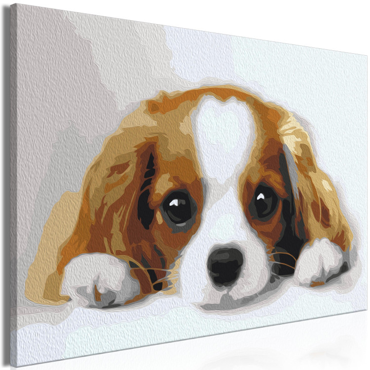 Paint by Number Kit Sweet Puppy 142408 additionalImage 6