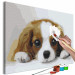 Paint by Number Kit Sweet Puppy 142408 additionalThumb 5