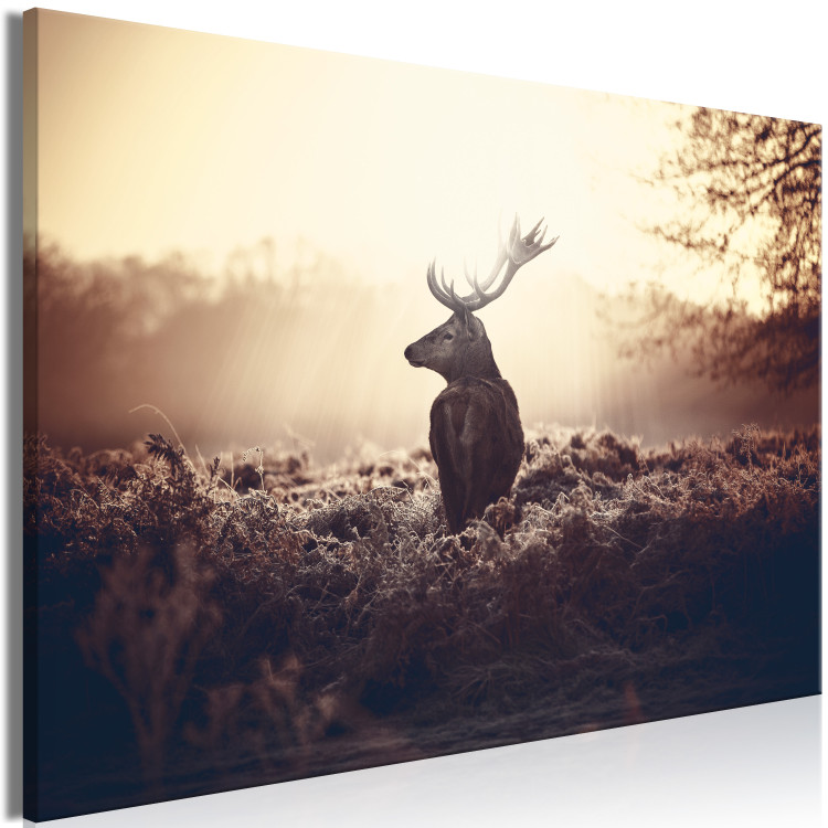 Large canvas print Stag in the Wilderness [Large Format] 149108 additionalImage 2