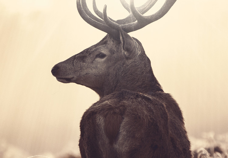 Large canvas print Stag in the Wilderness [Large Format] 149108 additionalImage 3