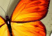 Canvas Flight of a butterfly 55508 additionalThumb 5