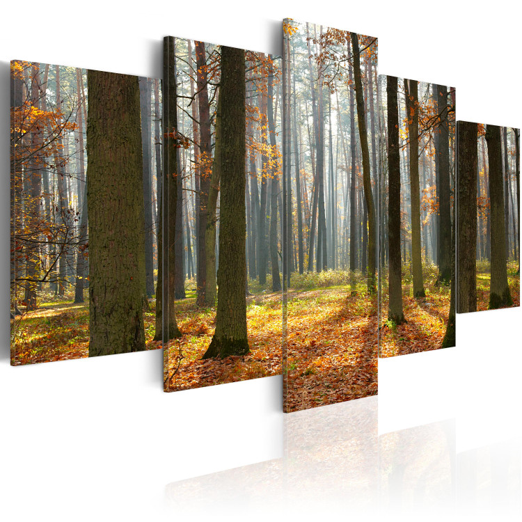 Canvas Print A nice forest landscape 58508 additionalImage 2