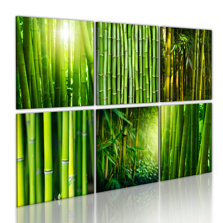Canvas Bamboo has many faces 58808 additionalImage 2