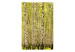 Wall Mural Birch Forest - Landscape of Tall Trees with Juicy Colored Leaves 60508 additionalThumb 1