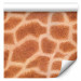 Modern Wallpaper Giraffe: animal theme 89108 additionalThumb 1