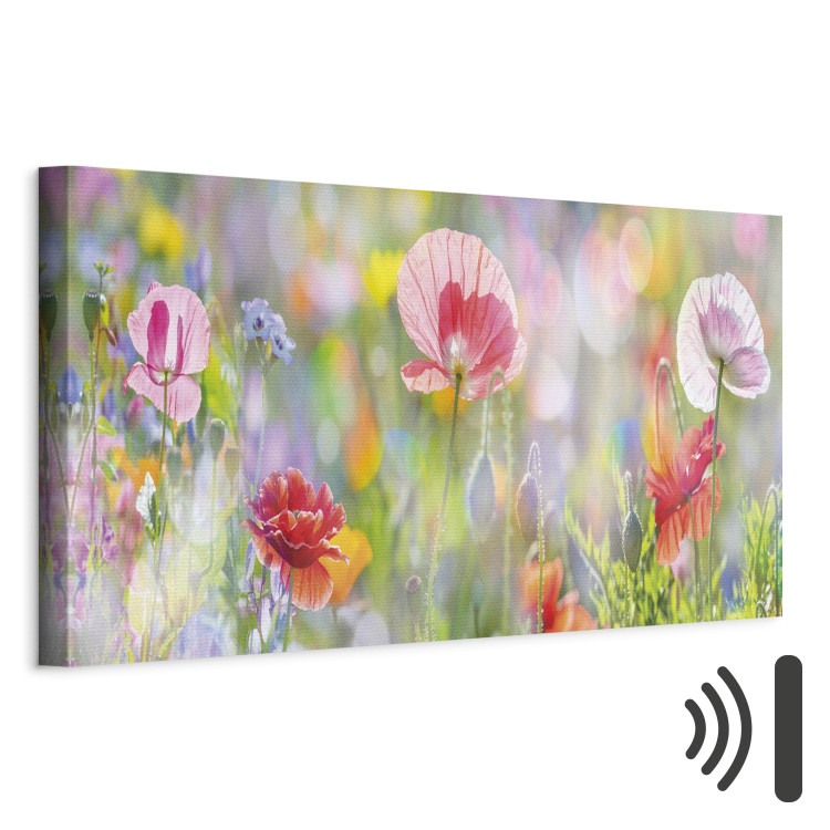 Canvas Rainbow of Morning Poppies  91908 additionalImage 8