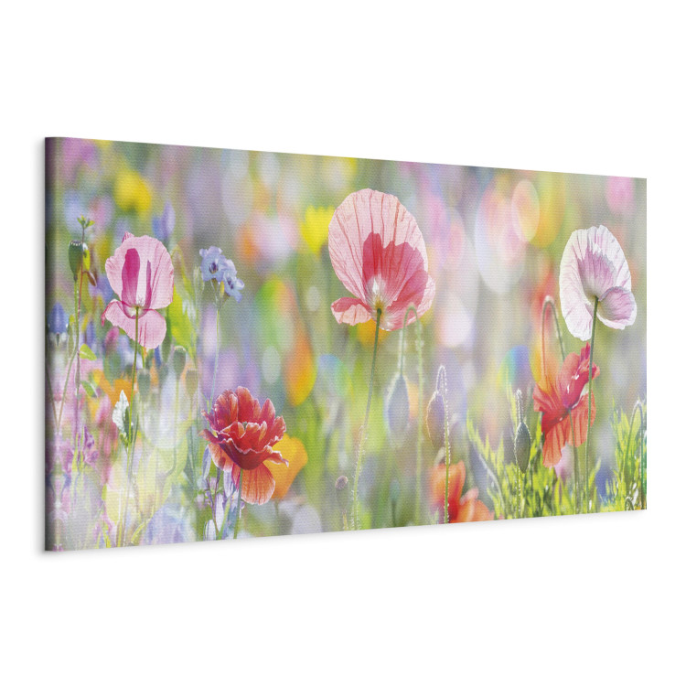 Canvas Rainbow of Morning Poppies  91908 additionalImage 2