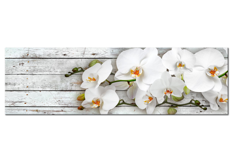 Canvas Orchid and Planks (1-piece) - White Flowers on Gray Wood Background 106218