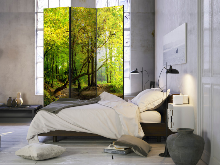 Room Divider Forest Glade - autumn landscape of forest with yellow leaves and water 107718 additionalImage 4