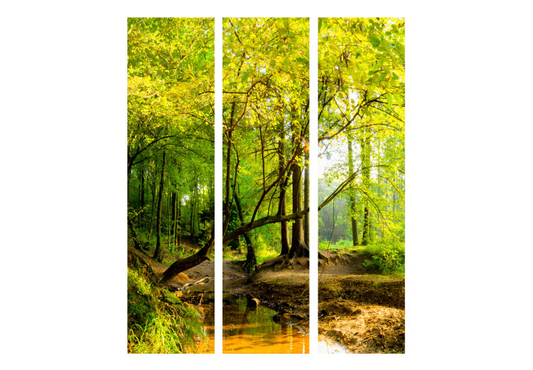 Room Divider Forest Glade - autumn landscape of forest with yellow leaves and water 107718 additionalImage 3