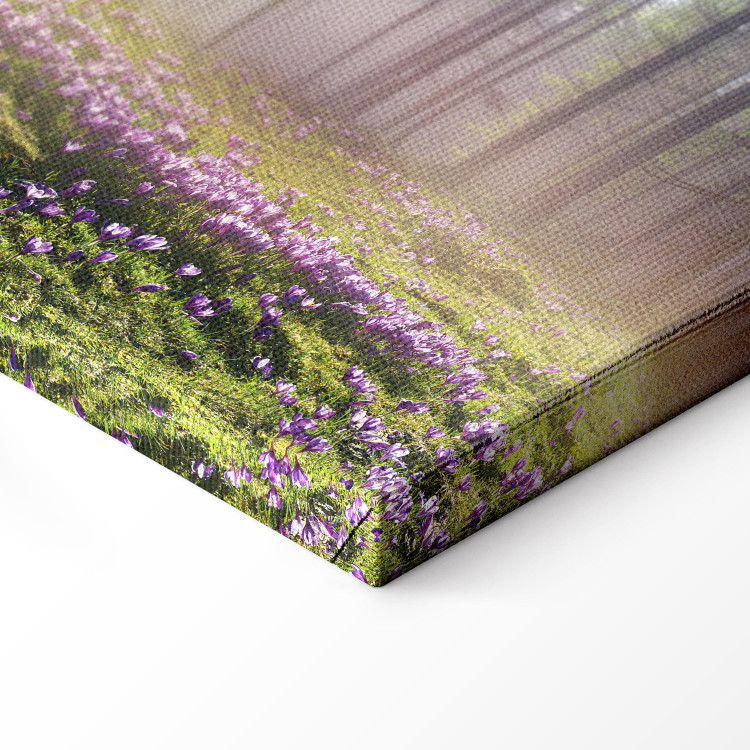 Canvas Art Print Purple Meadow (1-part) Wide - Landscape of Forest and Spring Flowers 108218 additionalImage 6
