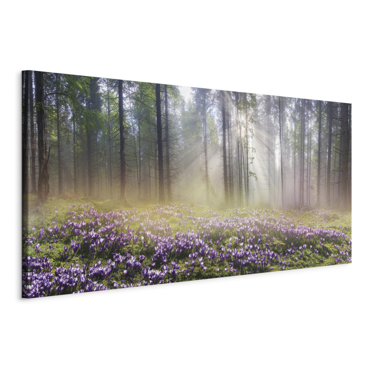 Canvas Art Print Purple Meadow (1-part) Wide - Landscape of Forest and Spring Flowers 108218 additionalImage 2