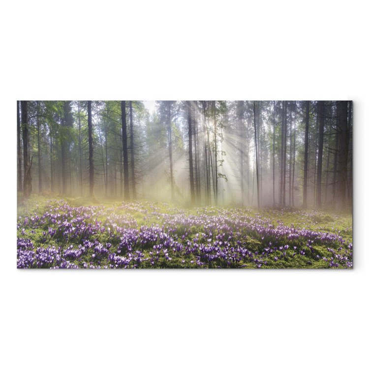Canvas Art Print Purple Meadow (1-part) Wide - Landscape of Forest and Spring Flowers 108218
