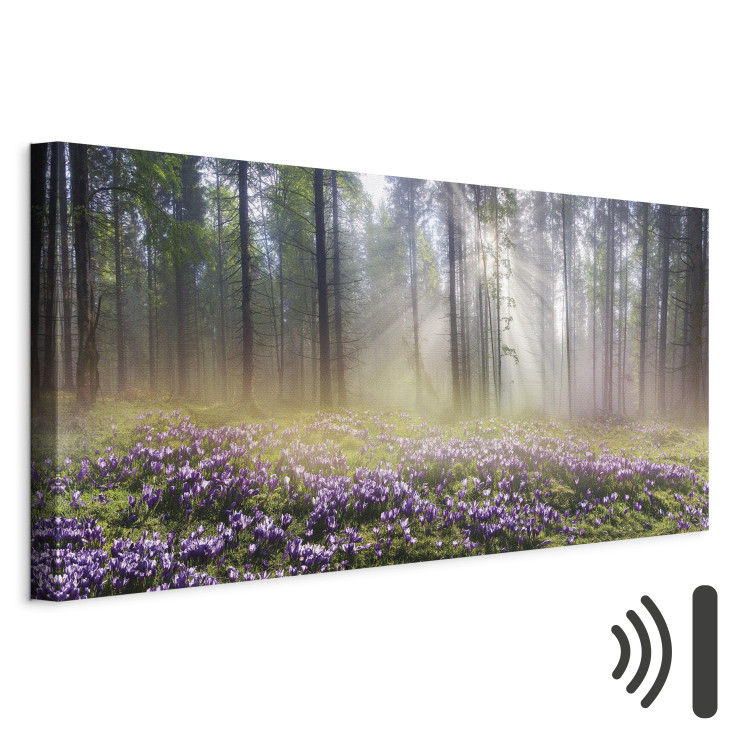 Canvas Art Print Purple Meadow (1-part) Wide - Landscape of Forest and Spring Flowers 108218 additionalImage 8