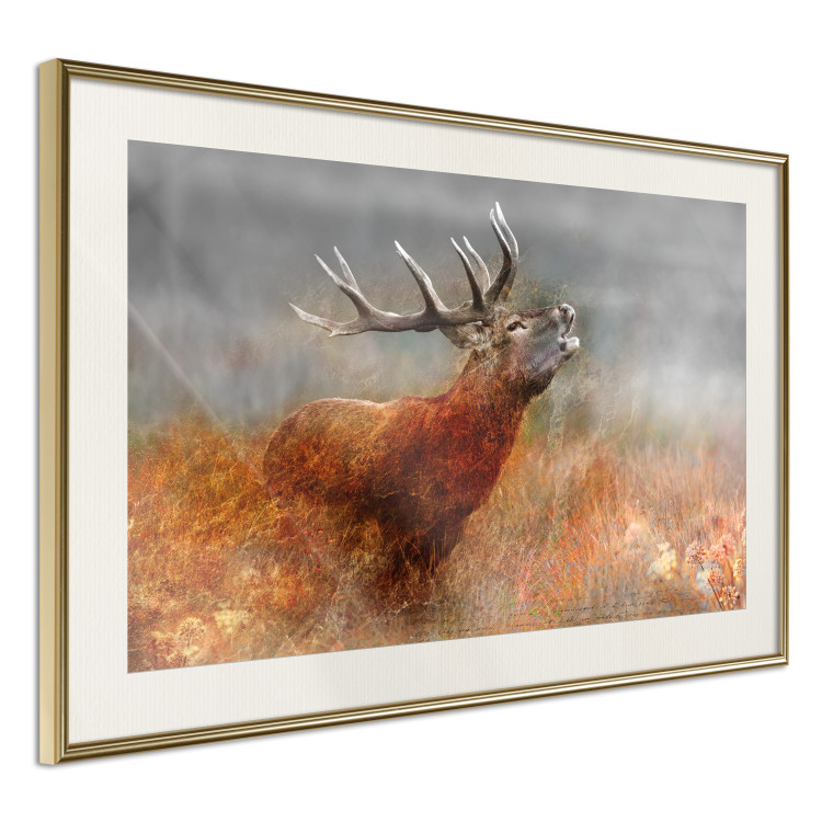 Poster Roaring Deer - woodland animal against an autumnal field landscape 114418 additionalImage 2