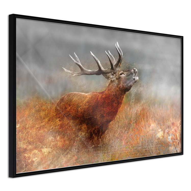 Poster Roaring Deer - woodland animal against an autumnal field landscape 114418 additionalImage 12
