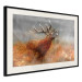 Poster Roaring Deer - woodland animal against an autumnal field landscape 114418 additionalThumb 3