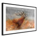Poster Roaring Deer - woodland animal against an autumnal field landscape 114418 additionalThumb 11