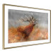 Poster Roaring Deer - woodland animal against an autumnal field landscape 114418 additionalThumb 6
