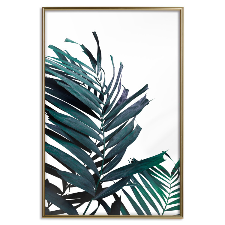Wall Poster Emerald leaves - white background and tropical palm in green 115118 additionalImage 20