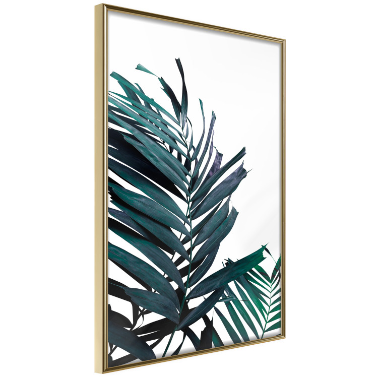 Wall Poster Emerald leaves - white background and tropical palm in green 115118 additionalImage 2