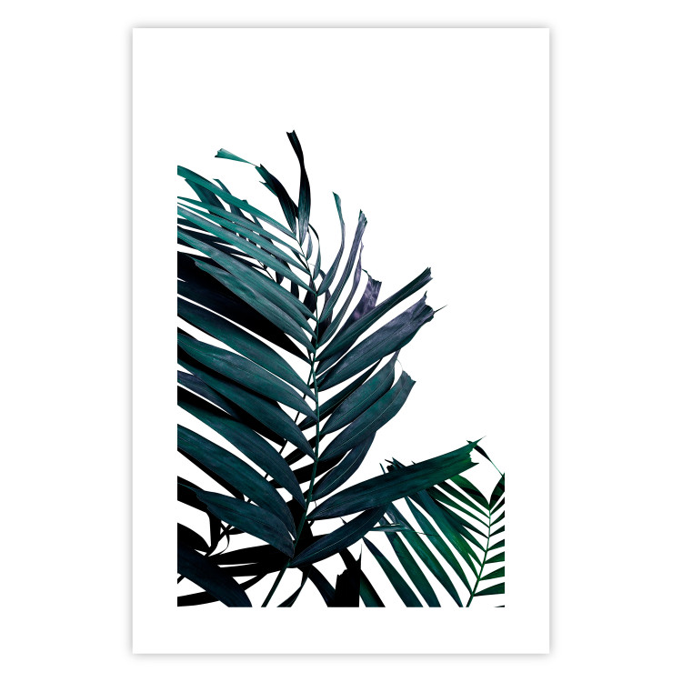 Wall Poster Emerald leaves - white background and tropical palm in green 115118 additionalImage 25