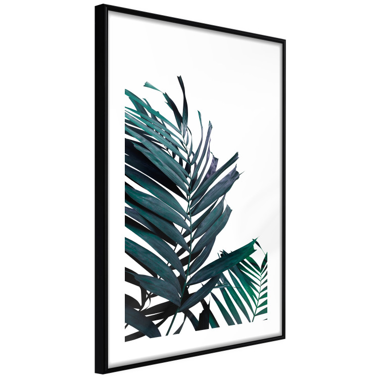 Wall Poster Emerald leaves - white background and tropical palm in green 115118 additionalImage 3