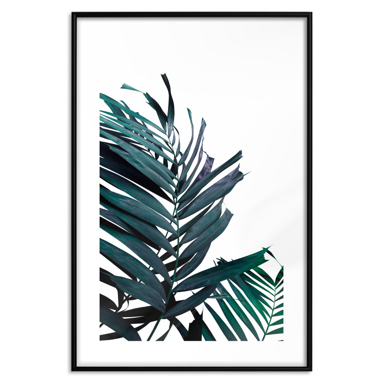 Wall Poster Emerald leaves - white background and tropical palm in green 115118 additionalImage 15
