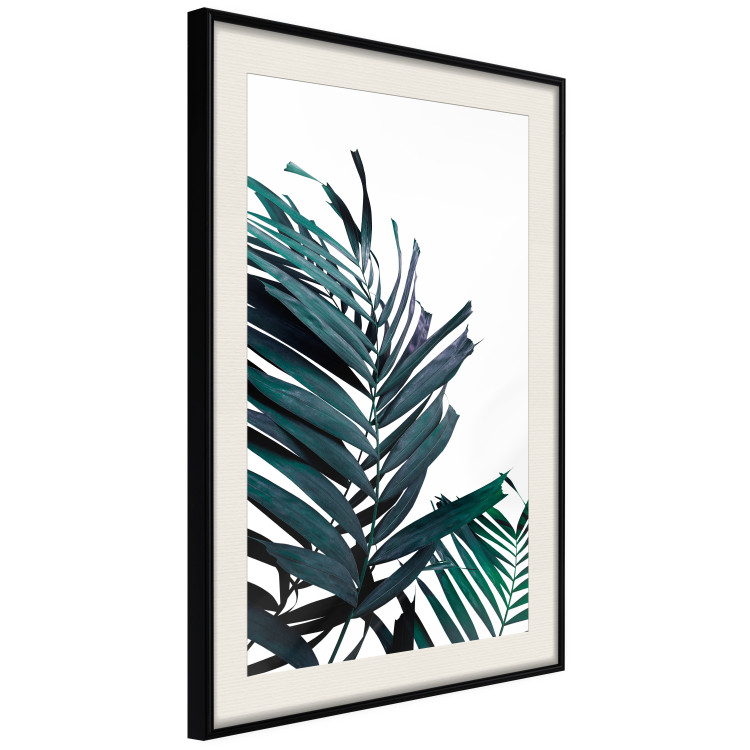 Wall Poster Emerald leaves - white background and tropical palm in green 115118 additionalImage 4
