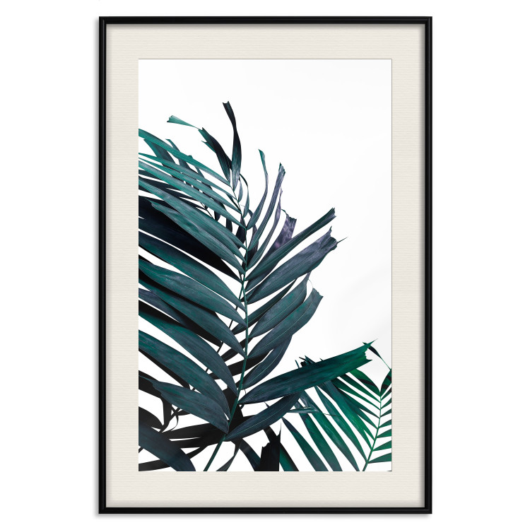 Wall Poster Emerald leaves - white background and tropical palm in green 115118 additionalImage 18