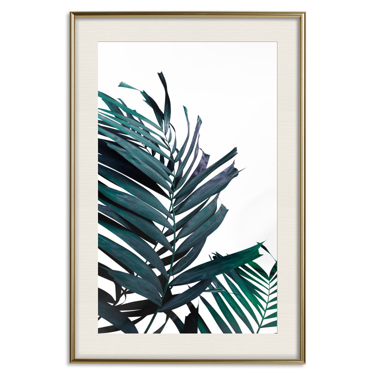 Wall Poster Emerald leaves - white background and tropical palm in green 115118 additionalImage 19