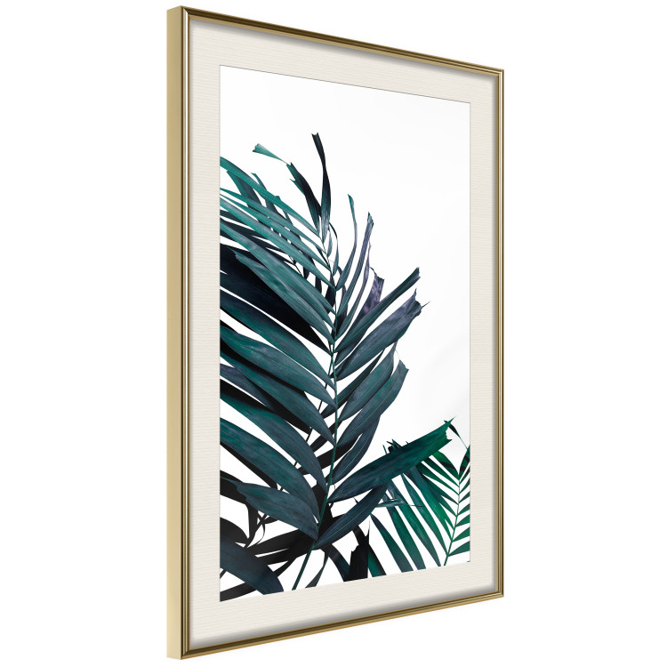 Wall Poster Emerald leaves - white background and tropical palm in green 115118 additionalImage 13